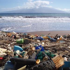 Litter such as plastic detergent bottles, crates, buoys, combs, and water bottles blanket Kanapou Bay, on the Island of Kaho'olawe in Hawaii. This region is a hot-spot for marine debris accumulation. Because of its remote location, removal is difficult, resulting in beaches that look more like a landfill. Courtesy of NOAA