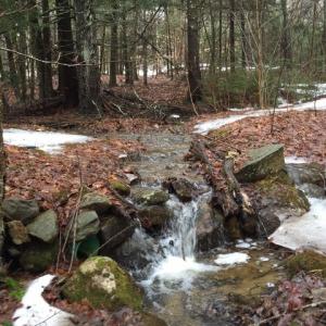 This is a before photo of a 2016 Clean Water Grant project. An eight-foot culvert wasn’t producing desired results because it was too small. The stream began cutting its way through the road and carrying dirt downstream to Adams Pond. Courtesy photo