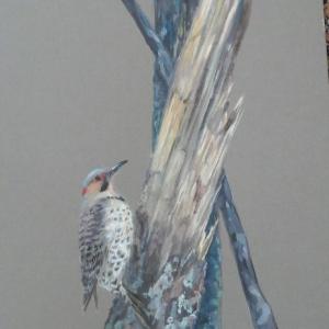 Julie Babb,Maine artist