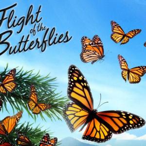 “Flight of the Butterflies” is both detective story and visual wonder, sharing the fascinating tale of the monarch butterfly migration and the scientist who discovered where this iconic species disappeared to each winter. Courtesy of BRLT