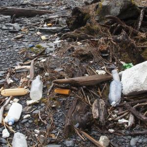 Marine debris is unsightly and presents a serious hazard to birds, mammals, fish, and other aquatic life. Courtesy of Coastal Rivers Conservation Trust