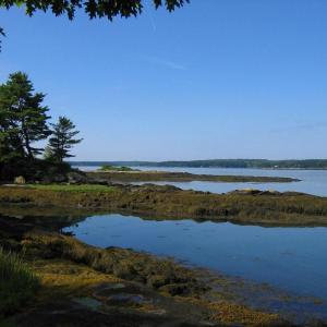 Enjoy the scenic views at Porter Preserve while gaining insight on the role seaweeds play in maintaining healthy oceans. Courtesy of BRLT