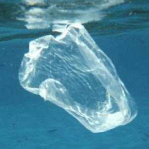 A plastic bag floating in ocean water. Courtesy of NOAA