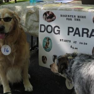 Don’t miss the dog parade at Summerfest July 27. Courtesy photo