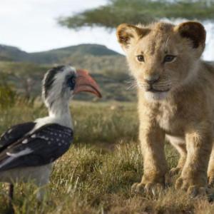 Young SImba looking at Zazu on the Savannah in a scene from “The Lion King,” playing at Harbor Theater this week!! Courtesy photo