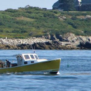 Federal and state officials are at odds over a proposal designed to protect the Atlantic right whale, an endangered species. File photo