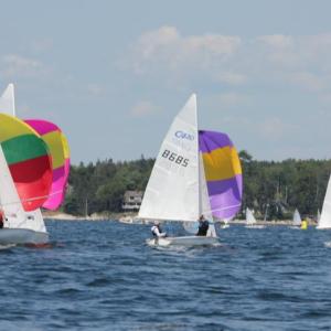 Southport Yacht Club sailors chase leader. Pam Pearce photo
