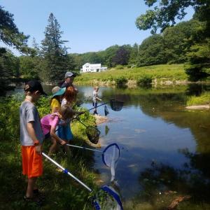 BRLT’s Junior Naturalist campers enjoy exploring the pond at Oak Point Farm. Courtesy of BRLT