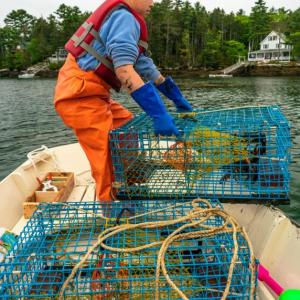 13-year-old Lucy Berman hauls lobster traps off Southport Island. Courtesy of Jim Newton