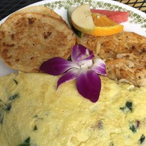 Mama D’s omelet. Lisa Orne Hallinan photo