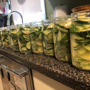 Ready for the lids. Lisa Orne Hallinan photo