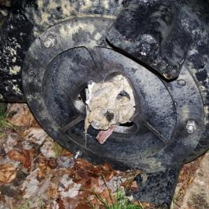 An example of a pump in the Boothbay Harbor sewer system clogged with “flushable” wipes. Courtesy photo