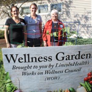 A few of the Wiscasset Lincoln Medical Partners ‘green thumbs’ are, from left, Heather Galbreath, MA, Jamie Cromwell, MA and Andrea Feus, RN, practice manager. Courtesy photo