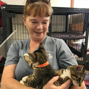 Tammy Walsh of Midcoast Humane. File photo