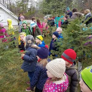 Edgecomb Eddy School students participate in the first Charlie Brown Christmas Tree Contest. File photo