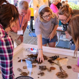 University of Maine student Brynn Yarbrough, center, shares her knowledge of marine organisms with Pemaquid Oyster Festival attendees. Courtesy of DMC