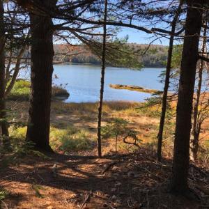 Cross-River Preserve, Boothbay Region Land Trust