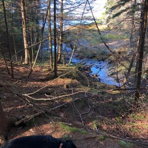 Cross-River Preserve, Boothbay Region Land Trust