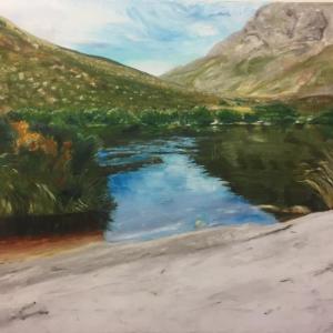 Lynne Seitzer