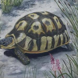 Lynne Seitzer