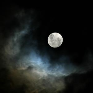 There’s nothing like a full moon hike! Courtesy of Midcoast Conservancy