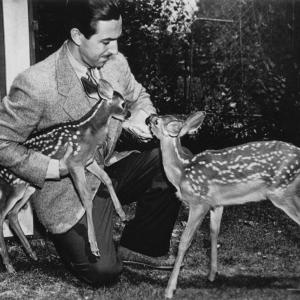 Walt Disney with two fawns from Maine. Courtesy of LIncoln Theater