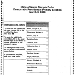 A sample ballot for the Democratic primary race.