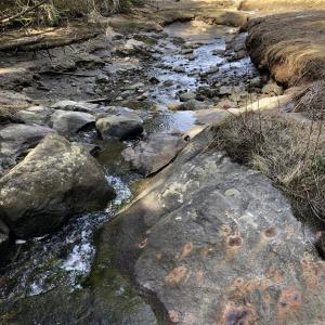 Cross River Preserve is one of the many trails available within a short drive of Boothbay center. Visitors are urged to fan out across the preserves to avoid overcrowding. Courtesy of BRLT