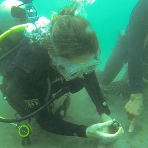 University of Maine researcher Kara Pellowe scans the ocean floor for clams alongside a fisherman in Loreto Bay, Mexico. Photo by Sofia Castello