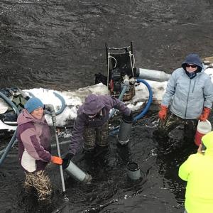 Midcoast Conservancy staff working with Maine Department of Marine Resources to plant Atlantic salmon eggs in the Sheepscot River as part of a watershed-wide river restoration effort. Courtesy of Midcoast Conservancy
