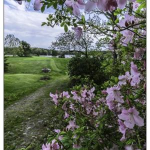 Oak Point Farm in the spring. Courtesy of BRLT