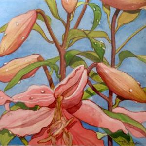 Suzi Thayer