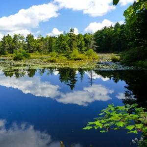 Appalachee Preserve. E. Frank Johnson photo
