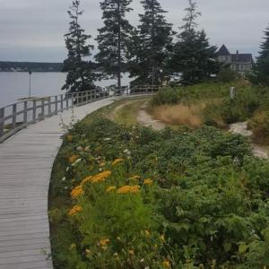 The walkway on Squirrel Island. STEVE EDWARDS/Boothbay Register