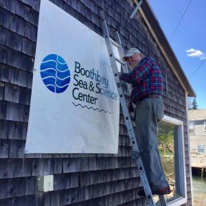 Harry Dudley hangs the Boothbay Sea & Science Center sign – a task he has done every year since 2016. Courtesy of Pauline Dion