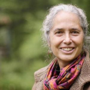 Maine Master Naturalist Jan Collins to give a presentation on bats July 23. Courtesy photo