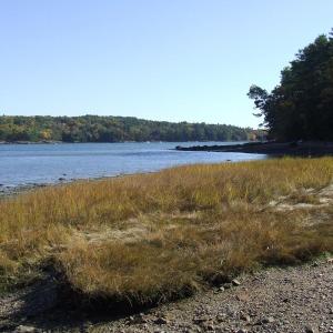 #bird-column, #birds, #JeffandAllisonWells, #BoothbayRegister, #WiscassetNewspaper, #landformaine’sfuture, #LMF, Maine