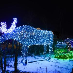 A moose from Gardens Aglow past. Courtesy of Kris Folsom