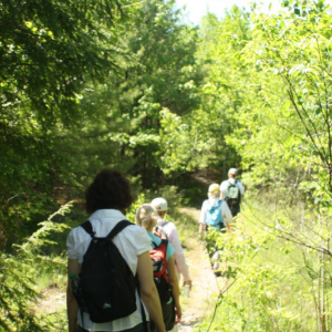 Citizens walk the Whiskeag Trail on a sunny day. Courtesy of KELT