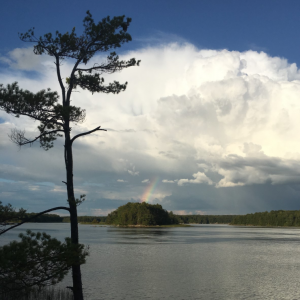 Rainbow peering through the clouds from the Whiskeag Creek Wetland property shoreline. Sam Lambert photo