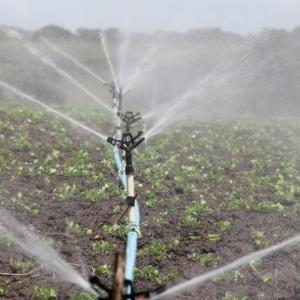 An irrigation system. Courtesy of the University of Maine Cooperative Extension