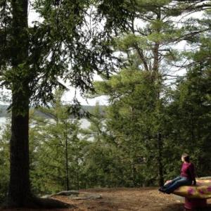 Join KELT to welcome mindfulness teacher Tim Blair, of The Mindful Nonprofit, for an introduction to mindfulness in nature on Thursday, Feb. 25 at 6 p.m. Register in order to receive a Zoom link at www.kennebecestuary.org
