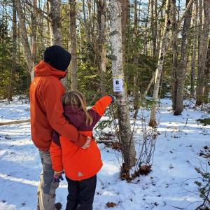 During the month of February BRLT is offering a self-guided Winter Tree ID hike at Cross River Preserve. Courtesy of BRLT
