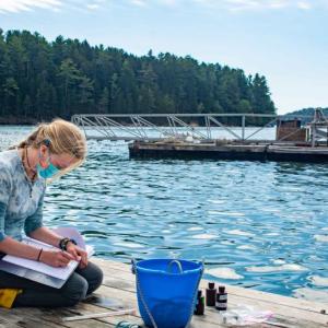 DMC student researcher Essie Martin of Newcastle collects water samples at the Darling Marine Center pier in Lowes Cove. DMC photo