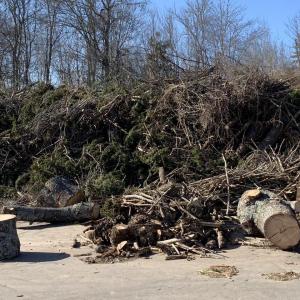 A mechanical problem with an aging grinder is responsible for the transfer station’s brush pile growing. BILL PEARSON/Boothbay Register