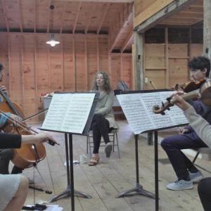 DaPonte violinist Lydia Forbes, center, teaching a violin lesson during a past high school workshop. Courtesy of Lisa Westkaemper