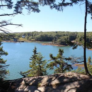 Tracy Shore Preserve features coastal spruce forest and views of Jones Cove in South Bristol. Courtesy of Coastal Rivers