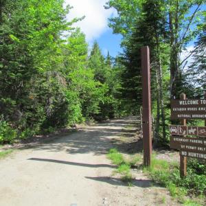 #bird-column, #jeff-and-allison-wells, #Boothbay-Register, #birds, #maine, #katahdin-woods-and-waters-national-monument