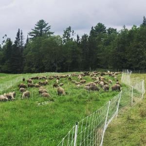 Meadowcroft Farm. Courtesy photo