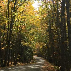 Mill Road. LISA KRISTOFF/Boothbay Register